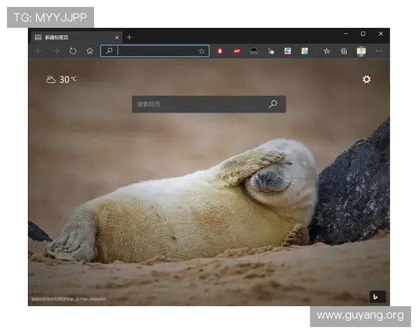 亚星游戏平台 tsbcez多平台兼容性与操作界面优化详解