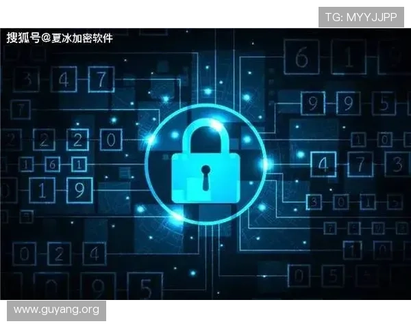揭秘亚星娱乐在线的安全性与隐私保护措施
