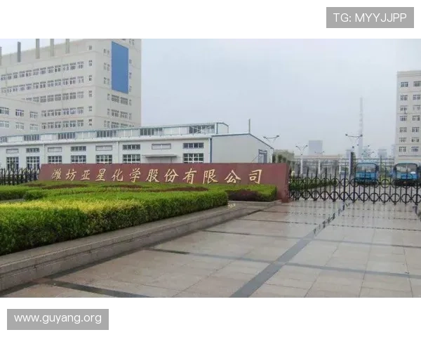 潍坊亚星集团有限公司官网最新新闻动态与行业合作信息一览