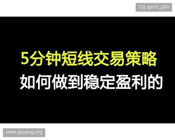 亚星在线代理操作指南：详细步骤帮助新手快速上手实现稳定盈利